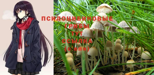 MESCALINE Богородицк