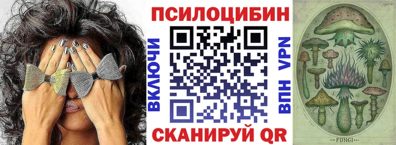Купить где  Олёкминск  Галлюциногенные грибы Psilocybe 